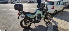 IMG_20220310_152647.jpg