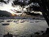 IMG_20160827_195244.jpg