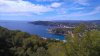 DSC_6766.jpg