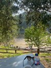 IMG_3365.jpeg