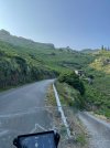 IMG_3375.jpeg