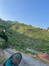 IMG_3374.jpeg