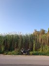 20250607_074148.jpg