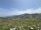 IMG_1145.JPG