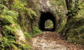 700x420_senda-del-oso-asturias.jpg