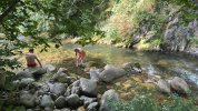 IMG-20250618-WA0037.jpg