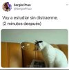 IMG_4365.jpeg