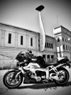 IMG_9910.jpeg
