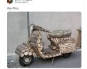 IMG_4435.jpeg