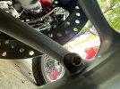 IMG_2307.jpeg