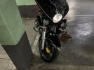 IMG_8891.jpeg