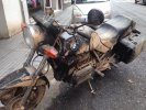 IMG_8013.jpeg