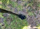 IMG_6255.jpeg