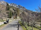 IMG_1578.jpeg