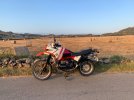 IMG_5525.jpeg