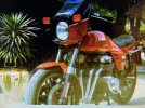 IMG_7951.jpeg