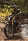 GS12 (1).jpg