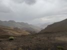 IMG_2584.JPG