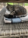 thumbnail_IMG_5101.jpg