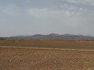 IMG_2595.JPG