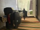 IMG_0815.jpeg