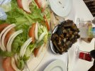 IMG_3686.jpeg