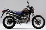yamaxa-slr-650-2.jpg