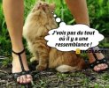 fb_im145.jpg