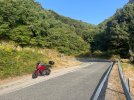 IMG_0306.jpeg