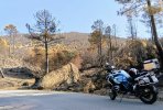IMG20250810094213~2.jpg