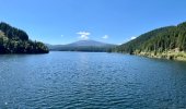 IMG_2425.jpeg