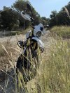 IMG_8134.jpeg
