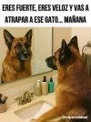 FB_IMG_1755097032830.jpg