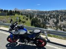 IMG_1094.jpeg
