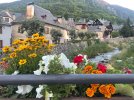 IMG_9549.jpeg