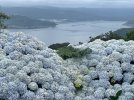 IMG_9135.jpeg