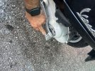 IMG_4909.jpeg