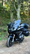 IMG_9560.jpeg
