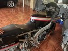 IMG_4991.jpeg