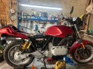 IMG_7309.jpeg