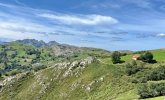 IMG_2649.jpeg