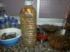 20160924_151414.jpg