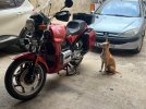 IMG_7559.jpeg