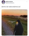 IMG_7793.jpeg