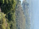 IMG_3790.jpg