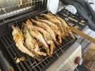 IMG_6159.jpeg