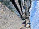 IMG_0007.jpeg
