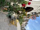 IMG_9961.jpeg