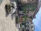 IMG_9955.jpeg