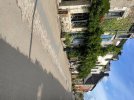 IMG_9920.jpeg